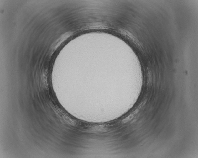 X0000077281162200611171555