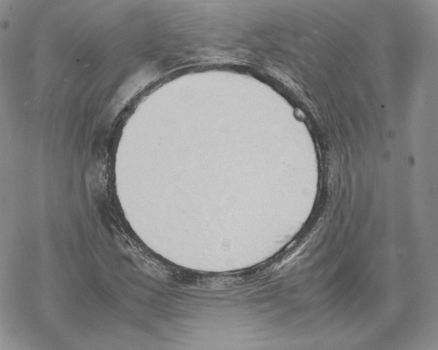 X0000077281163200611171555