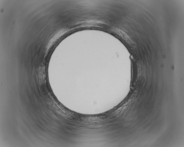 X0000077281164200611171555