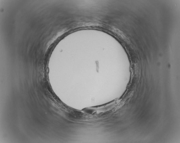 X0000077281165200611171555