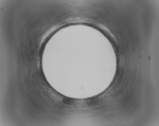 X0000077281167200611171555