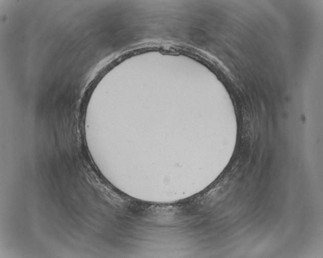 X0000077281168200611171555