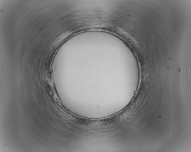 X0000077281169200611171555