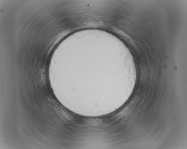 X0000077281170200611171555