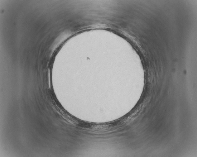 X0000077281171200611171555