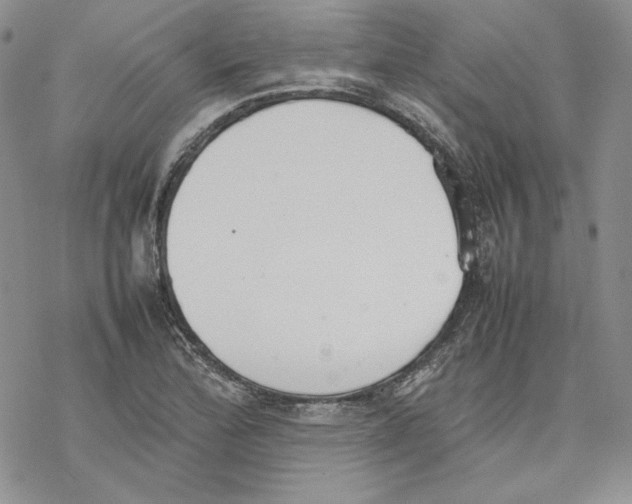 X0000077281172200611171555