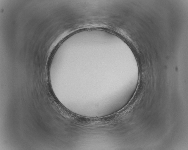 X0000077281173200611171555