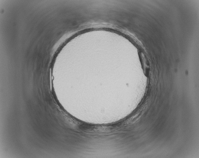 X0000077281175200611171554