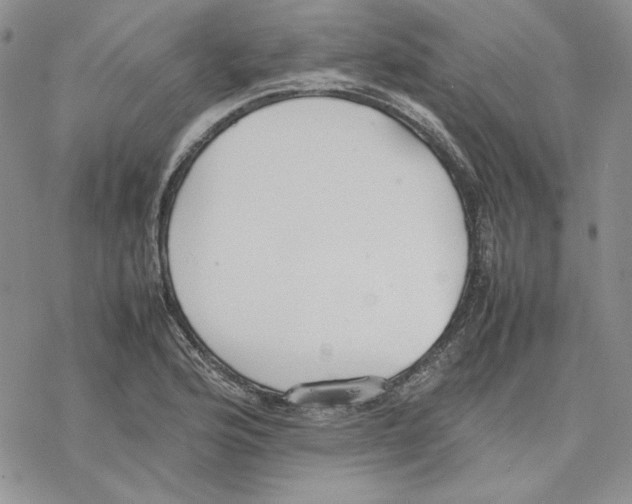 X0000077281176200611171554