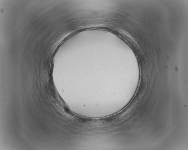 X0000077281177200611171554