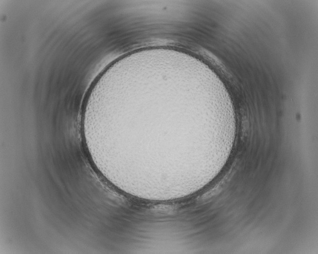 X0000077281178200611171554