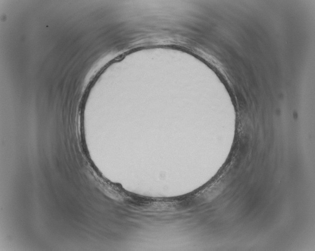 X0000077281179200611171554