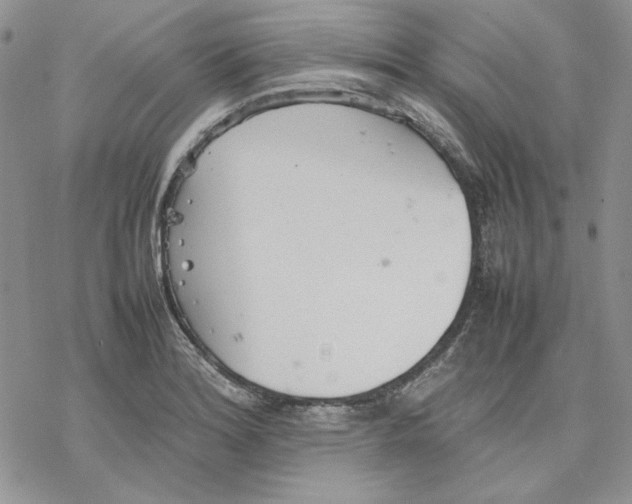 X0000077281180200611171554