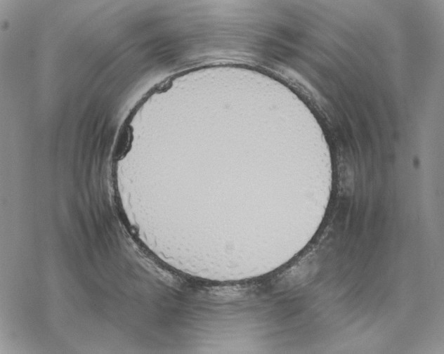 X0000077281182200611171554