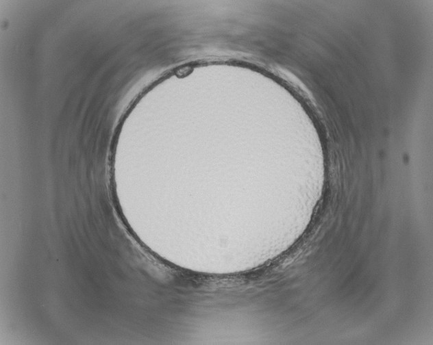 X0000077281183200611171554