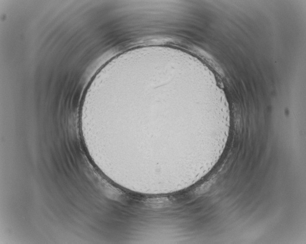 X0000077281186200611171554