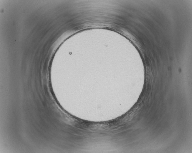 X0000077281187200611171554