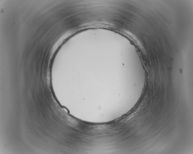 X0000077281188200611171554