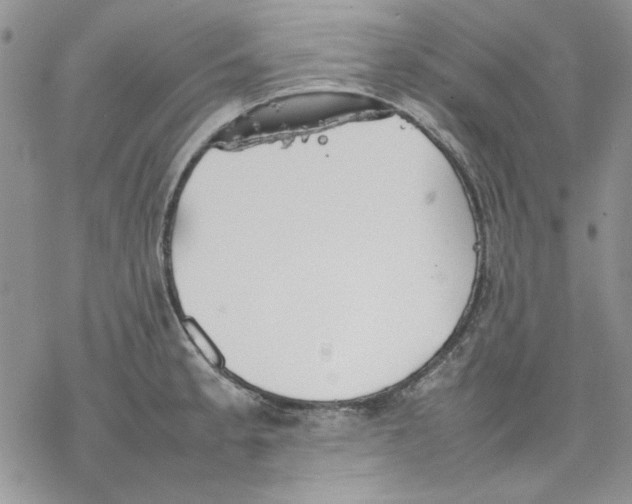 X0000077281189200611171554