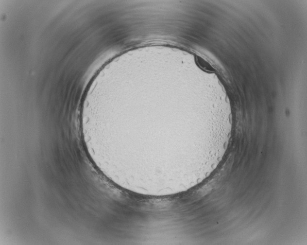 X0000077281190200611171554