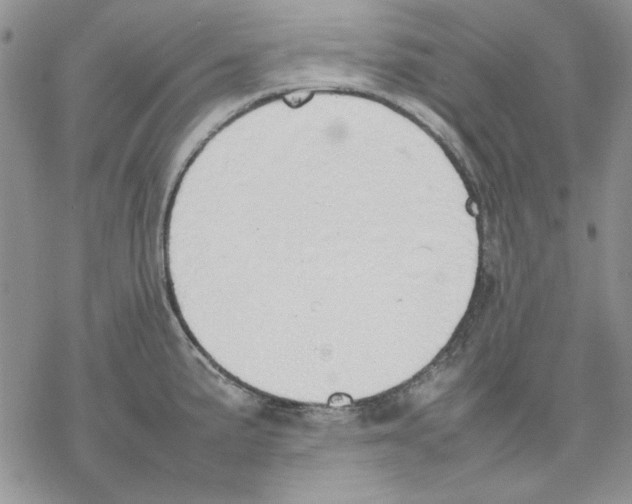 X0000077281191200611171554