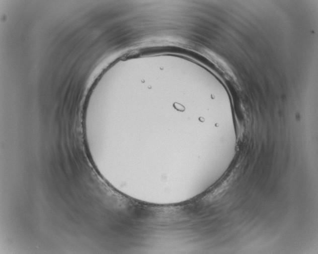 X0000077281192200611171554