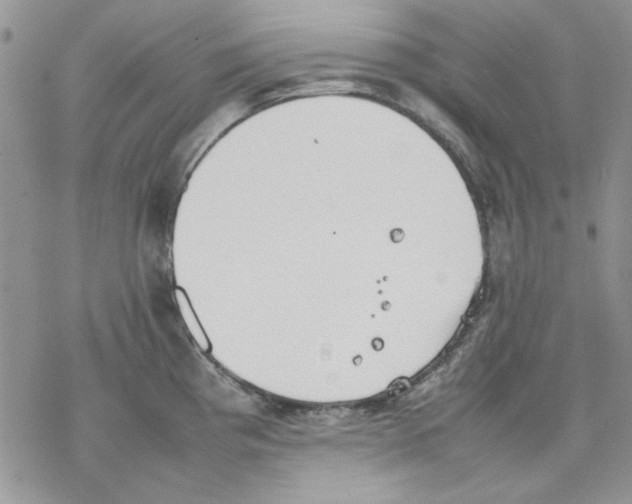 X0000077281193200611171554