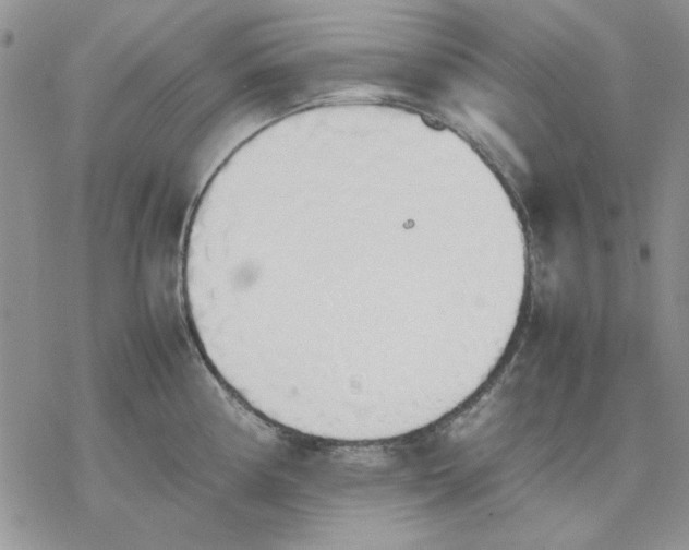 X0000077281194200611171554