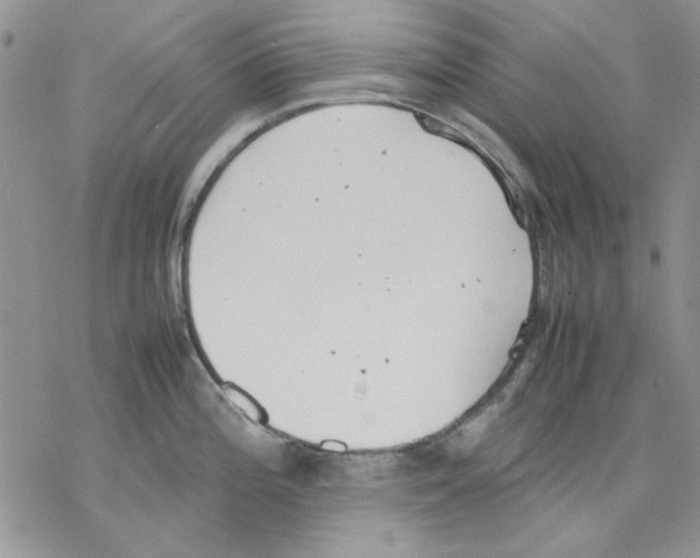 X0000077281196200611171554