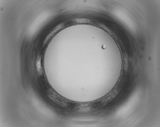 X0000077281198200611171554