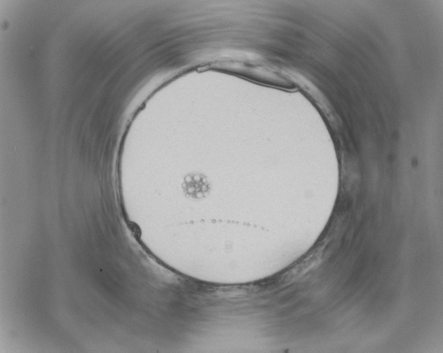 X0000077281199200611171554