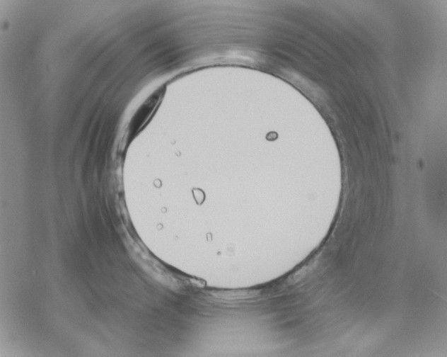 X0000077281200200611171554