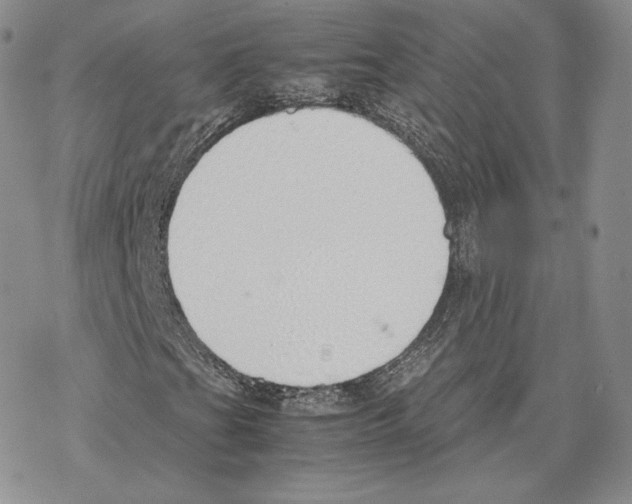 X0000077281201200611171553