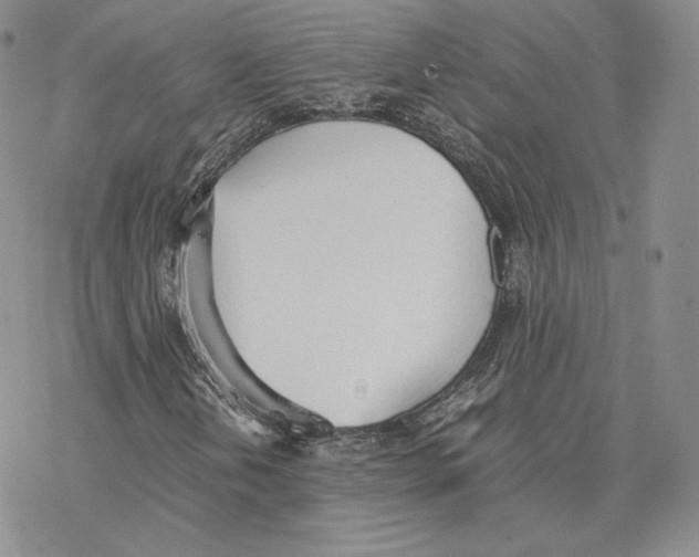 X0000077281202200611171553