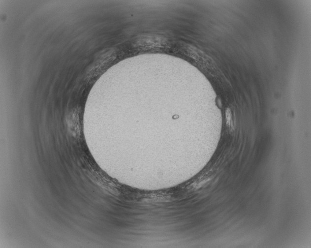 X0000077281203200611171553