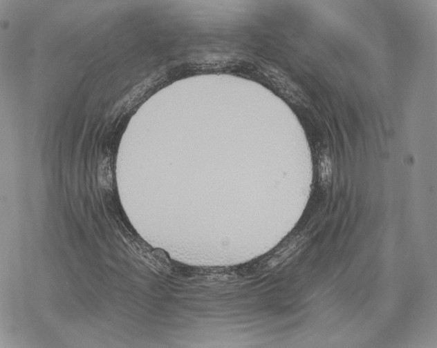 X0000077281204200611171553