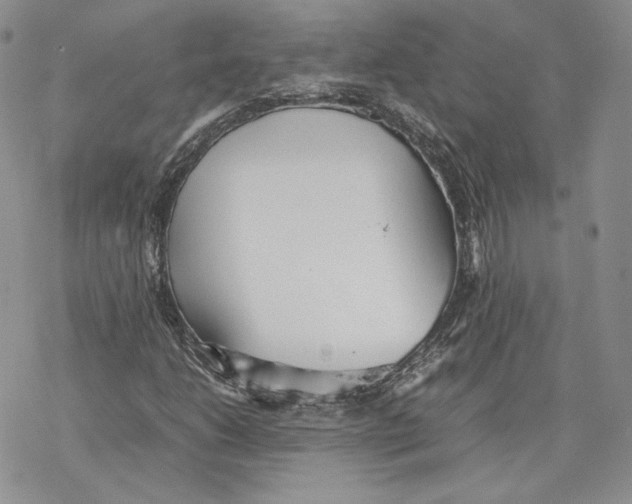 X0000077281206200611171553