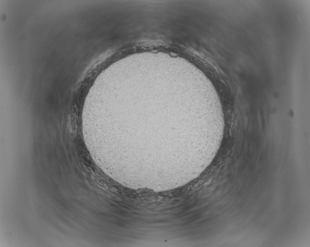 X0000077281207200611171553