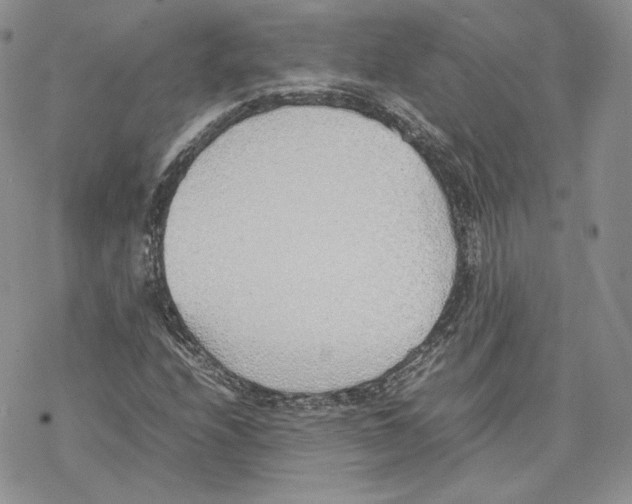 X0000077281208200611171553