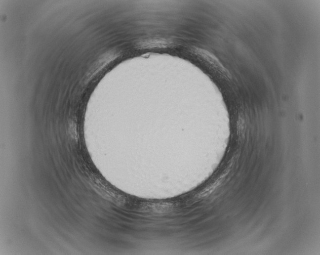 X0000077281209200611171553