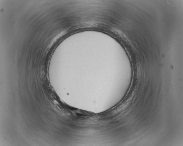 X0000077281210200611171553