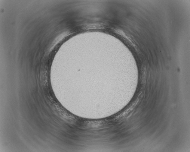 X0000077281211200611171553