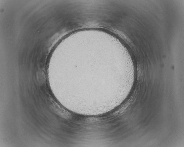 X0000077281212200611171553