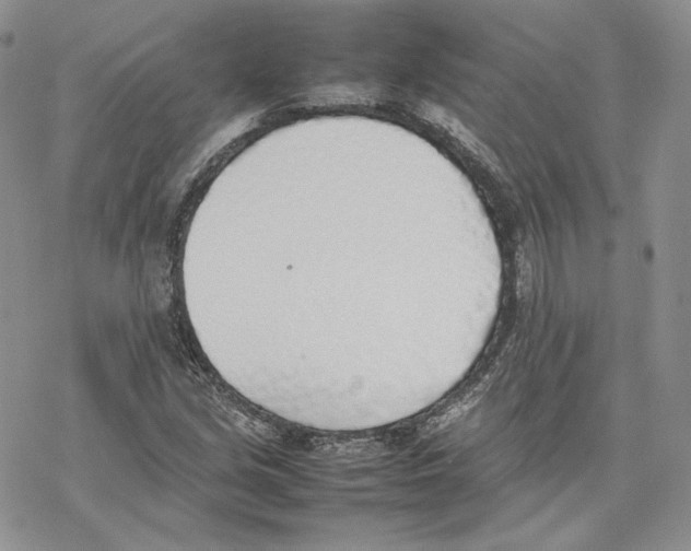 X0000077281213200611171554