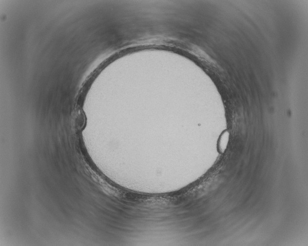 X0000077281216200611171554