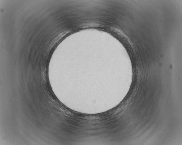 X0000077281217200611171554