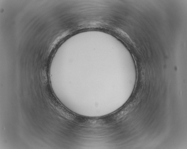 X0000077281218200611171554