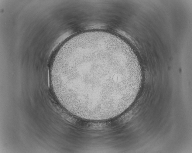 X0000077281219200611171554