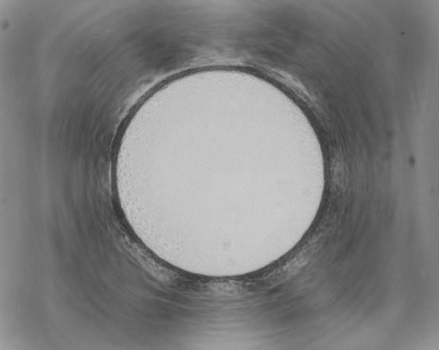 X0000077281220200611171554