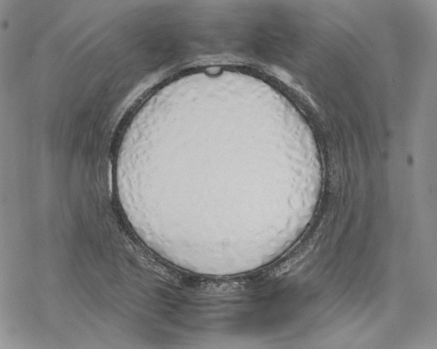 X0000077281221200611171554